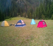 Montana2011  018